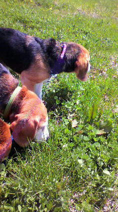 2010051610520001.jpg