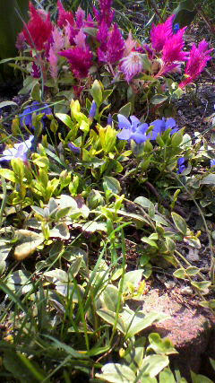 2010051611030000.jpg