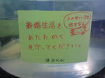 NEC_0225.JPG