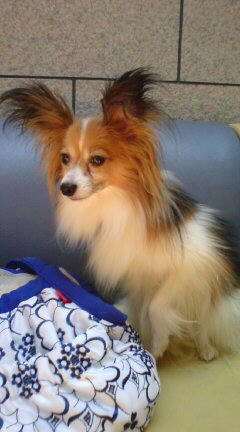 20070731115415.jpg