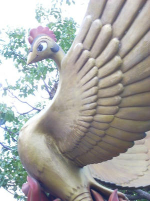 DSCN0202.JPG