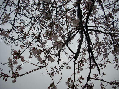 DSCN0812.JPG