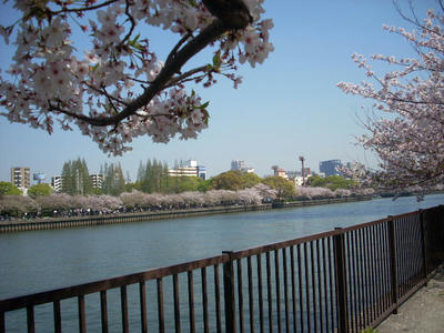 DSCN0833.JPG