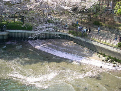 DSCN0856.JPG