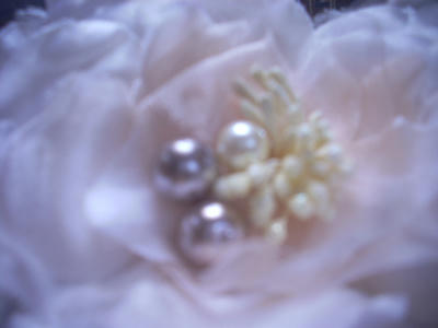 DSCN1046.JPG