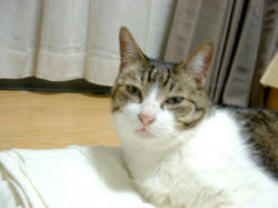 DSCF0008.jpg