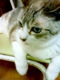 200906121937000.jpg