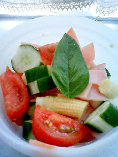 NEC_0002.jpg