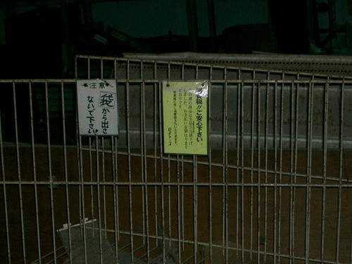 6a799810.jpeg