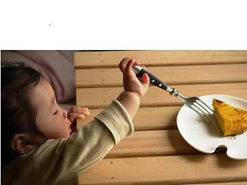 senake-ki.JPG