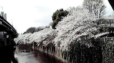 2010040312580000.jpg