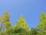 SANY0003.JPG