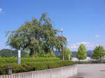 SANY0004.JPG