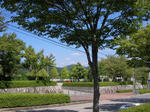 SANY0005.JPG
