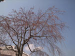 R0013045.JPG