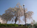 R0013052.JPG