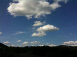 5365cd37.jpg