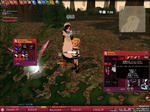 mabinogi_2009_11_27_006.jpg