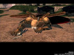 mabinogi_2010_10_16_004.JPG