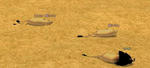 mabinogi_2011_05_21_010.jpg