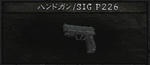www20.atwikisig.jp.jpg