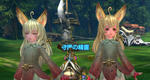 TERA_ScreenShot_20110810_005013.jpg
