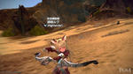TERA_ScreenShot_20110824_002950.jpg