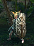 TERA_ScreenShot_20110909_222548.jpg