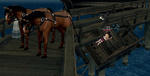 mabinogi_2012_01_18_001.jpg