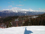 20090301_Wasshi02.jpg