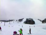 20100226-28_togari_2.jpg