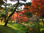 小石川後楽園の紅葉 - 其の三