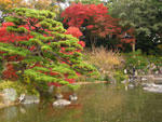 皇居東御苑の紅葉 - 其の一