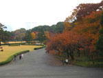 皇居東御苑の紅葉 - 其の三