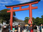 新年の鶴岡八幡宮 - 其の一