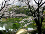 縮景園