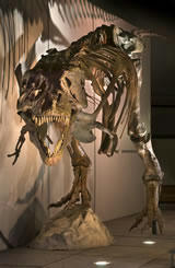 恐竜博2005