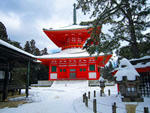 高野山 壇上伽藍の根本大塔