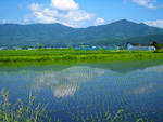 遠野の田園風景