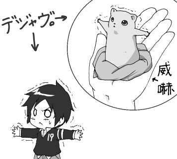 nikkie_hamuasi.png