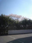 st02.jpg
