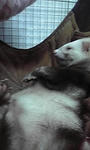 P1000034.JPG