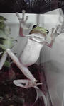P1000143.JPG