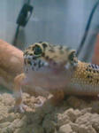 P1000008.JPG