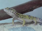 P1000020.JPG