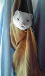 P1000200.JPG