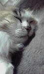 P1000236.JPG