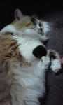 P1000237.JPG