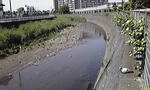 P1000290.JPG
