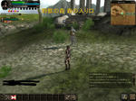 0903052.jpg